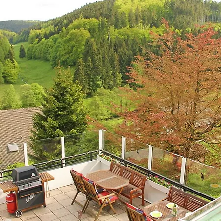 Mesmerizing In Willingen Germany With Private Garden *