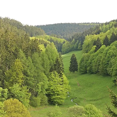 Mesmerizing In Willingen Germany With Private Garden Hébergement de vacances Willingen (Upland)